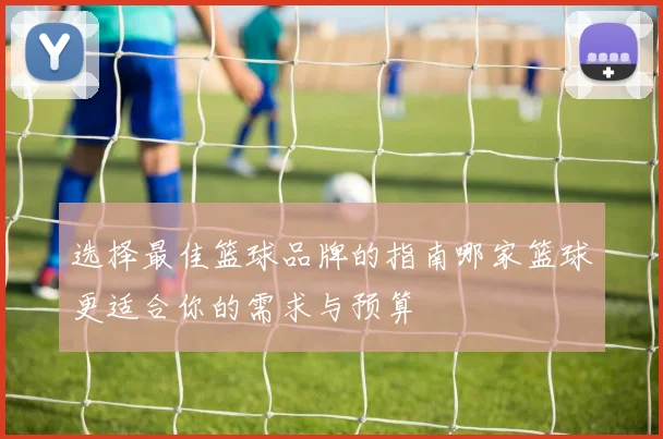 选择最佳篮球品牌的指南哪家篮球更适合你的需求与预算
