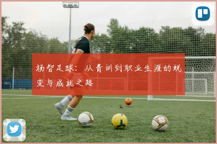 杨智足球：从青训到职业生涯的蜕变与成就之路
