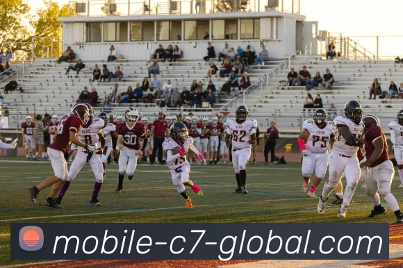 辅助工具 辅助工具